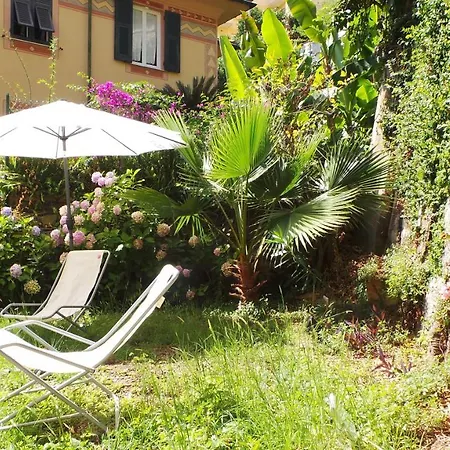Pitosforo Flexyrent Rapallo